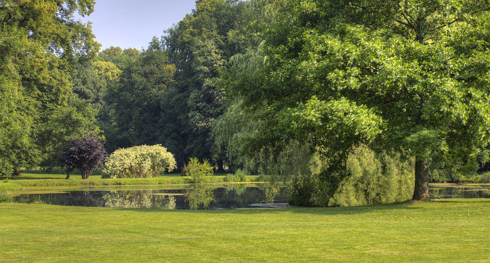 Étang miroir et saule pleureur dans le parc du Domaine Château du Faucon