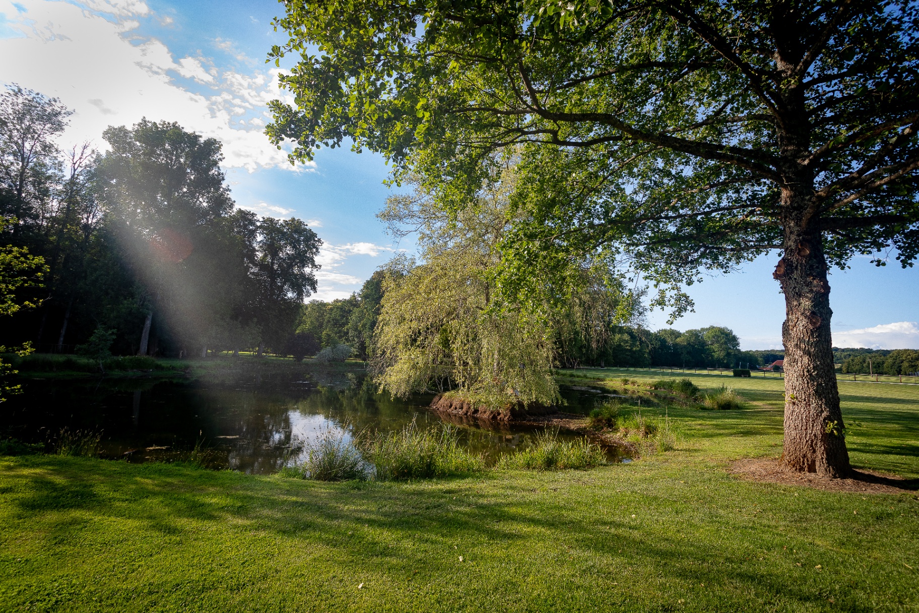 Étang du parc baigné de soleil au Domaine Château du Faucon
